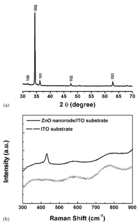 Fig. 5. (a) TEM and select area diffraction image of single crystal ZnO nanorods grown in 10 × 10 −3 M Zn 2 + aqueous solution