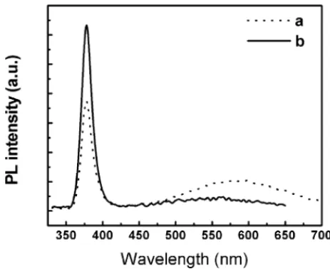 Fig. 7. (a) SEM and (b) TEM images of the ZnO nanorods grown under same condition expect using nanoparticles precursor concentration of about 0.05 M.