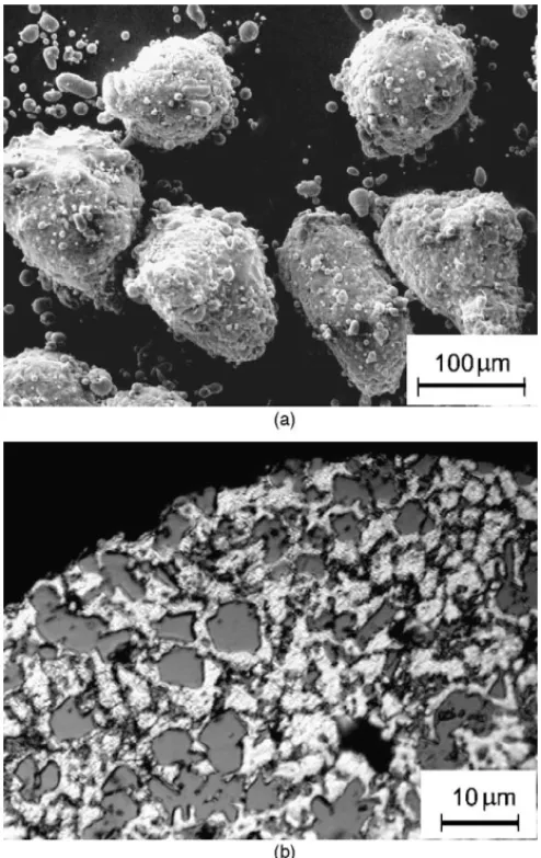 Fig. 1 schematically depicts the novel process developed in this study. It includes three steps, namely preparing a powder preform ( Fig