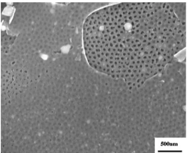 Fig. 4 a Isolated nanospheres on the AAO template when the applied centrifugal force was 140.3 N (8,000 rpm)