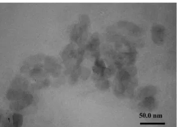 Fig. 7 TEM micrographs of uv-cured DGEBA/OG containing 10 phr OG
