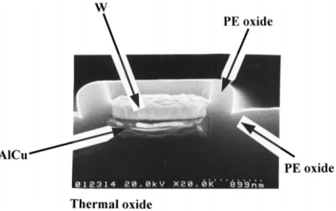 Fig. 1. SEM cross-section images of W deposition in via holes.