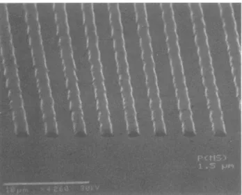 Fig.  1.  A  scanning electron micrograph of  1.5  ~m  line and  space  pattern. 