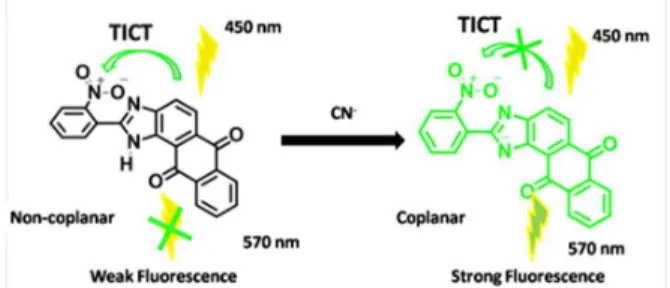 Fig. 9: The proposed mechanism for the sensing behaviour of S1  lifetime  decay  experiment  (λem  =  554  nm),  the  average  luminescence lifetime of S1 was found to be 3.5 ns at which 455 nm  nanoLED source was used