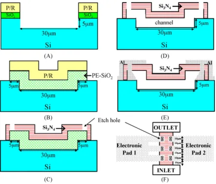 Fig. 1. Fabrication processes.