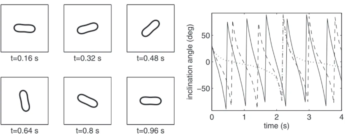 FIG. 10. The configuration of a vesicle with the reduced area V = 0.7 suspended in a flow with the flux ratio f = −0.8 at some chosen times (left panels) and the time evolution of the inclination angle (right panel) of the vesicle with the reduced area V =