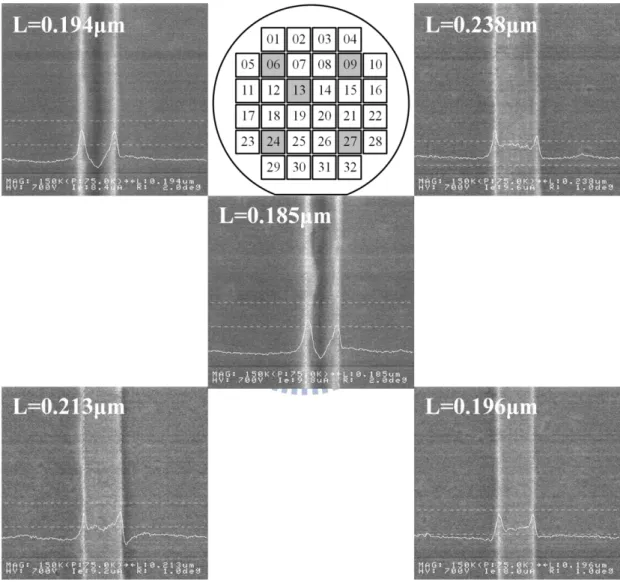 Fig.  2.4  In-line  SEM  image  of  patterned  poly-Si  lines  located  at  different  dies  of  a  wafer after stripping off the trimmed PR
