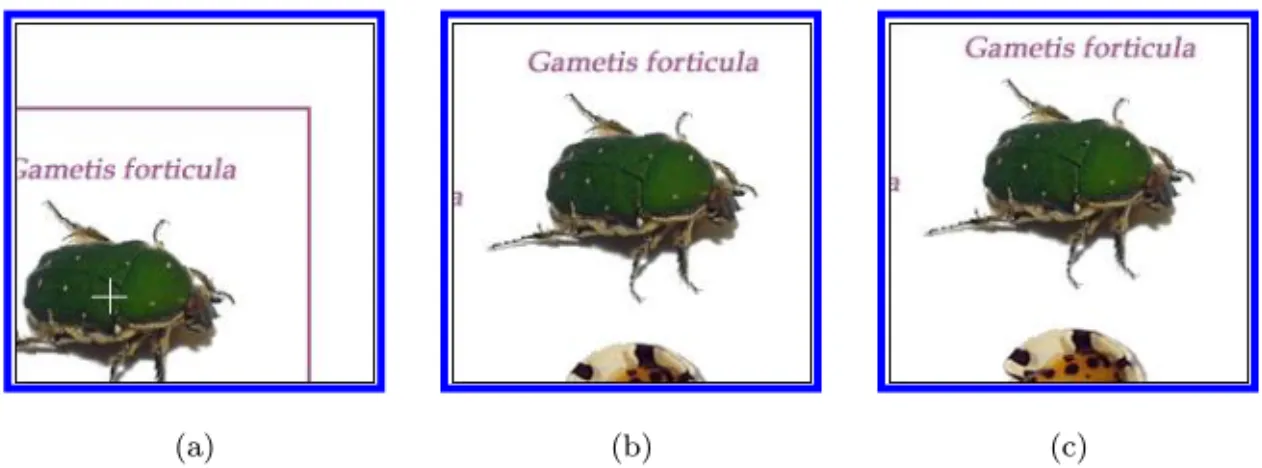 Figure 5 shows an example for the object block finding process. Figure 5(a) shows a block considered as a beetle object block, and the center of marked pixels is indicated by the cross sign
