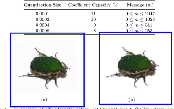 Table 1. The relation between the quantization size and ca- ca-pacity.