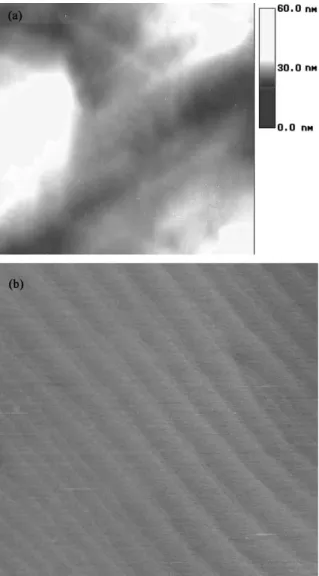 Fig. 2. Typical AFM images of (a) 30  30 lm 2 and (b) 2  2