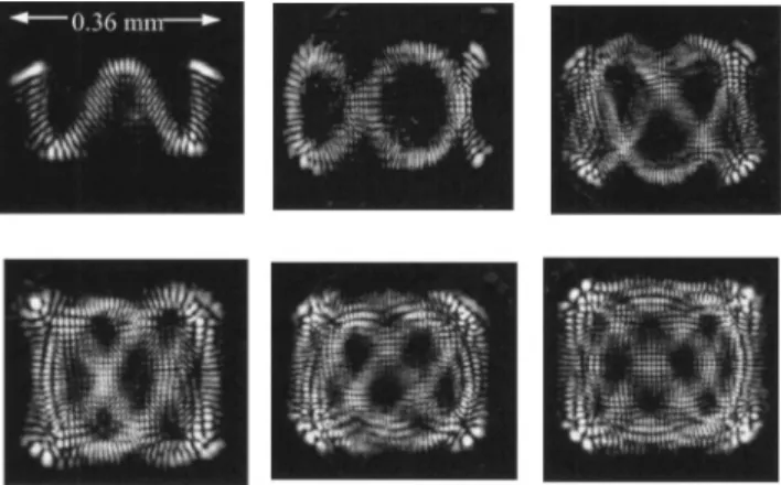 FIG. 2. Experimental results for the typical transverse patterns observed in a cavity length near ⌬␯ L / ⌬␯ T ⫽3.