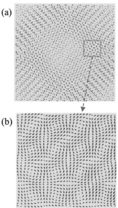 FIG. 4. Numerically calculated polarization planes for the observed pattern (a) global view; (b) zoom-in view.