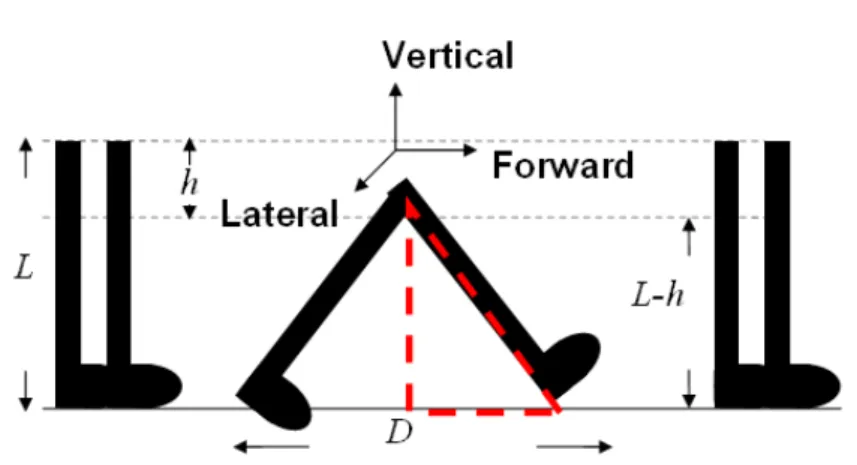 Figure 3. Walking Diagram. 