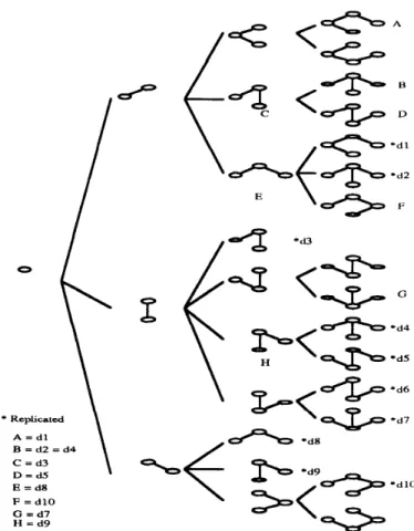 Fig.  3.  Generation  of  replicated  trees  in  MFST  [61 algorithm  +  qs,1qs,2  . 