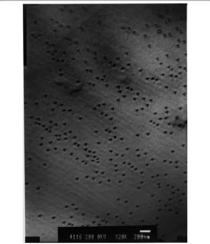 Figure 2 A plane-view of TEM image of the wafer which was cut to fabricate sample A.