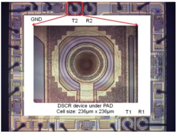 Fig. 11. The SEM failure picture of the RS232 transceiver IC with on-chip TVS after IEC 61000-4-2 contact 16 kV ESD test.