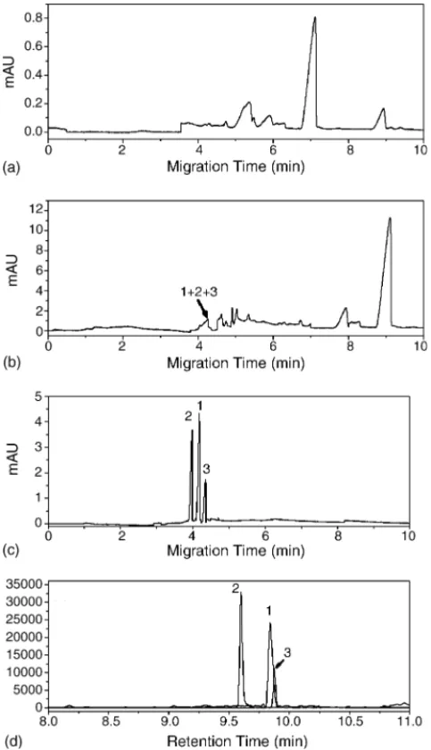 Fig. 7. Electropherograms and GC/MS traces for the analysis of a urine sample of a suspected ketamine user via (a) MEKC; (b) sweeping MEKC; (c) solid-phase extraction and sweeping MEKC; and (d) selective ion current profile measured using GC/MS methods