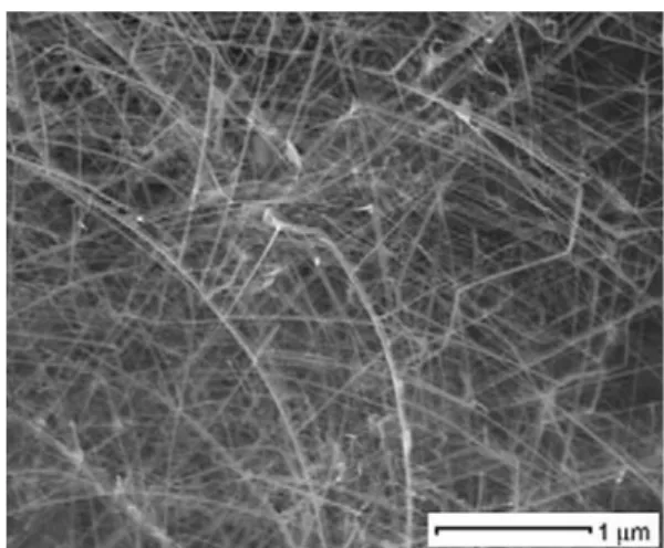 Fig. 9 FESEM images of the as-deposited rf sputtered ZnO-NWs on copper substrate [ 110 ]