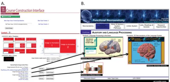 Figure 2. Screen capture of course-construction interface used to create “Functional Neuroanatomy” chapter