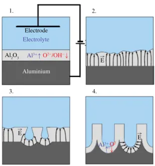 Fig. 2. Schematic diagram for preparing the porous Si substrate. TABLE I