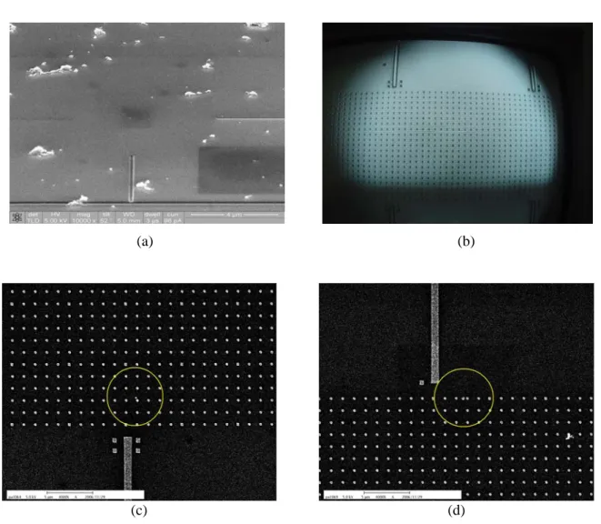 Figure 3. (a) A cross-type marker is made with FIB near a single 35 nm nanodiamond (b) optical 