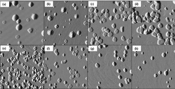 Fig. 1. AFM images of InN dots grown at (a) 550, (b) 575, (c) 600, (d) 625, (e) 650, (f) 675, (g) 700, and (h) 725  C.