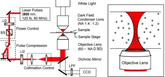 Fig. 1. Schematic diagram of the experimental set-up; /2 is halfwave plate, BS is beam splitter, and LPF is low pass ﬁlter