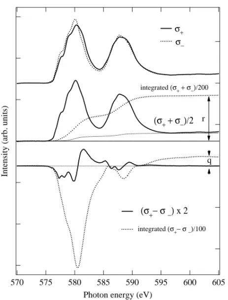 Fig. 5 displays the Cr L-edge XAS and MCD spectra of CrO 2 [17] . For q and r as the integrated intensities of