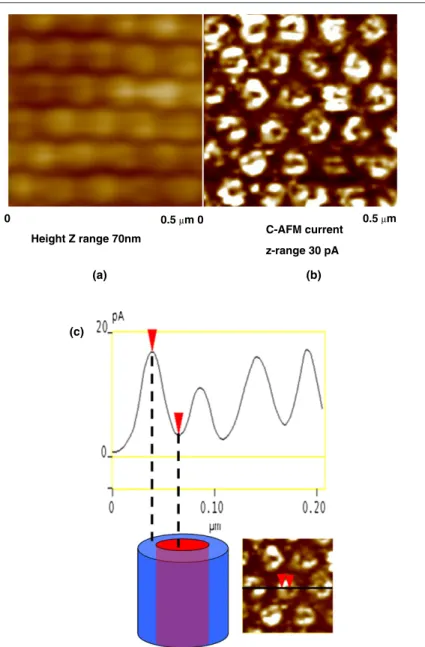 Figure 4. C-AFM (a) topographic vertical distance: 70 nm and (b) current images of a thin film of P3HT/PCBM nanorods