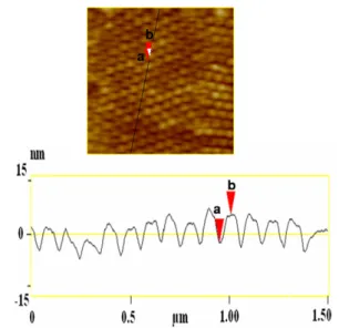 Figure A.2. Atomic force microscopy (AFM) topographic images