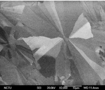 Fig. 2 a shows the diamond deposition on a poly-Si substrate in large area view. An inhomogeneous distribution can be clearly seen in high-magnification SEM micrograph in Fig