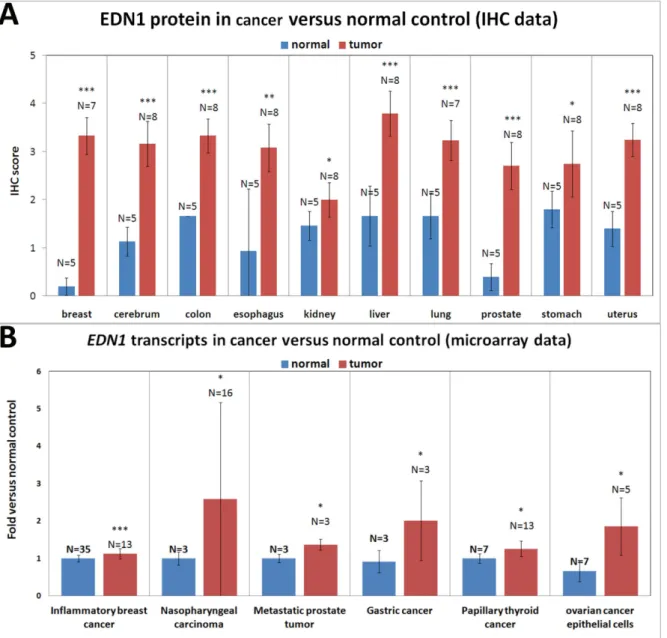 Figure 5. EDN1 protein and mRNA expression in various human tumor and normal tissue samples