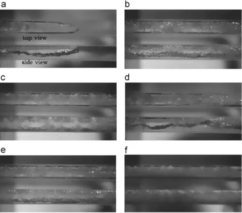 Fig. 6. Top and side views of the R-134a ﬂow patterns for Ts¼10 1C and D ¼6.70 mm [12] 