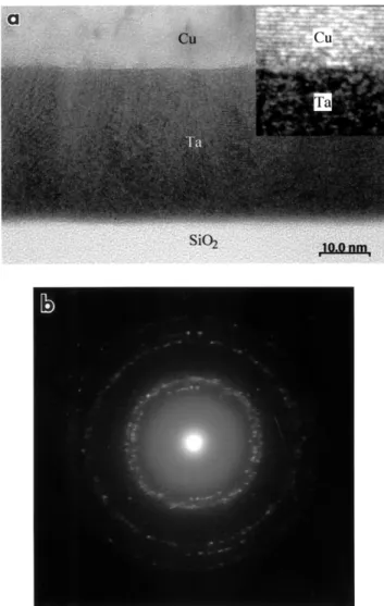 Fig. 1a displays a typical cross-sectional high-resolu-