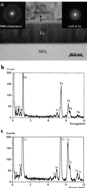 Fig. 3. EELS maps from different regions in the same Cu rTarSiO rSi sample as used in Fig