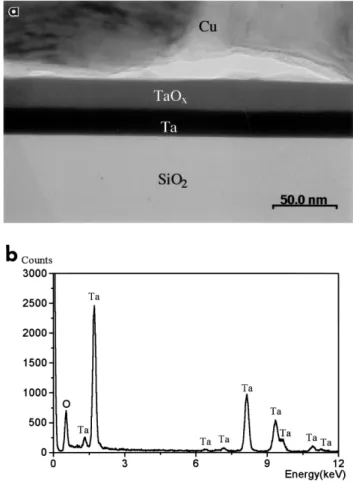 Fig. 5. Cross-sectional TEM image after thermal annealing at 500 ⬚C for 30 min in a vacuum of 10 y2 mbar.