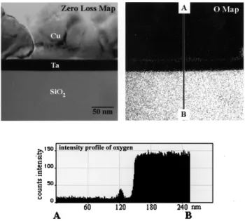 Fig. 7. EELS maps after thermal annealing at 500 ⬚C for 30 min in argon atmosphere.