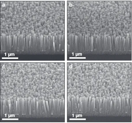 Fig. 4. FE-SEM images of (a) as-grown AZO NWs and samples annealed in oxygen ambience at (b) 300 °C, (c) 400 °C, and (d) 500 °C, respectively.