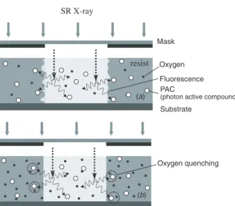 Figure 6. Line width of a specific resist microstructure with various top / bottom dose ratios
