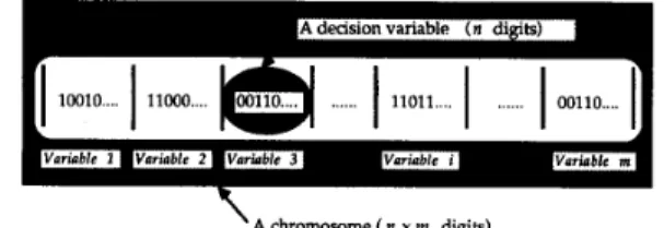 Fig.  1.  Encoding decision  variables  as a  chromosome. 