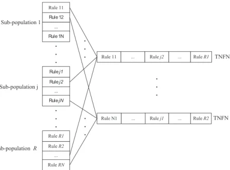 Fig. 2. The structure of the population in the PSC.