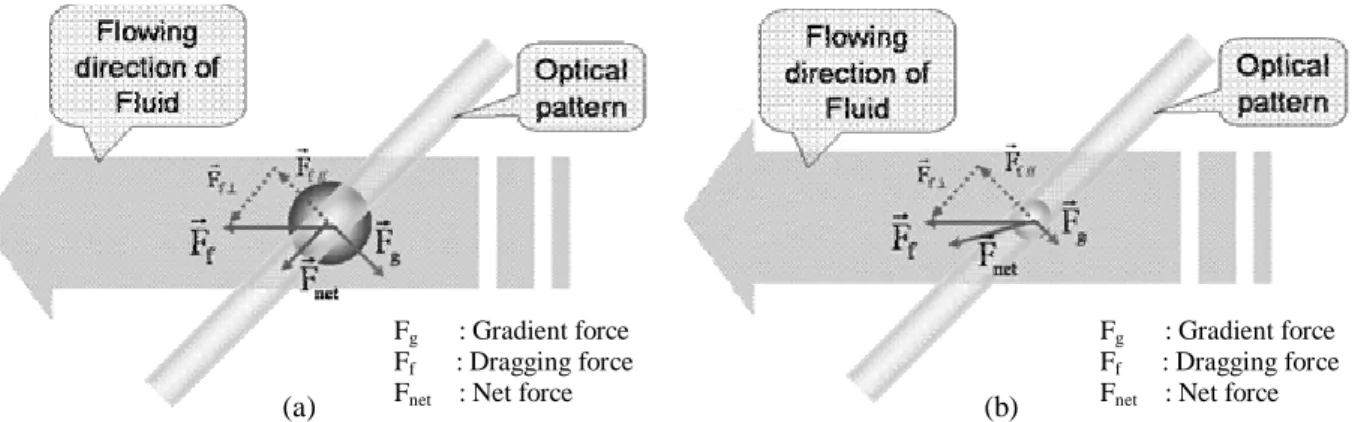 Fig. 1 Force diagrams of the flowing particles with different sizes under the illumination of an optical pattern