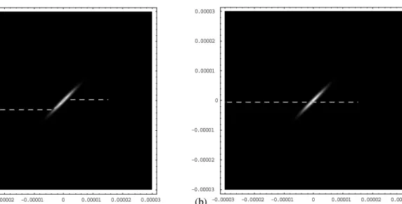 Fig. 2 The simulated trajectories of two beads of  ( a ) 1 µ m and (b) 0.5  µ m in diameter, separately,  after the beads flow through the line pattern