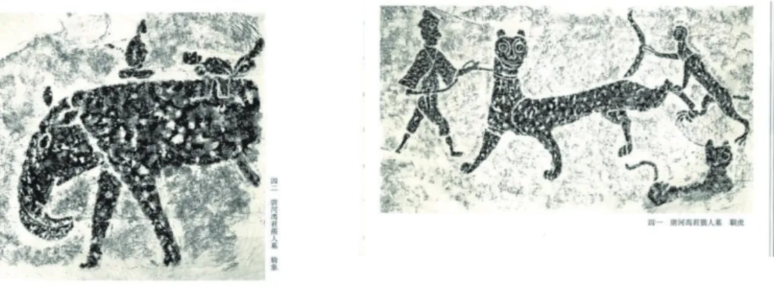 圖 2-9：唐河馮君孺人墓出土之騎象圖       圖 2-10：唐河馮君孺人墓出土之馴虎圖  又於河南漢畫像石中有兩幅閹牛圖，分別為方城東關出土之閹牛圖（ 《中國 畫像石全集． 6．河南漢畫像石》，圖 44）與方城城關出土之閹牛．抵虎．猴圖 （ 《中國畫像石全集． 6．河南漢畫像石》，圖 49）。前者圖中出現熊、龍等祥瑞 動物。圖右則出現頭戴尖帽、赤袒上身之人與牛相搏，在進行閹割術；後者圖中 有虎、牛相鬥，圖左有猴抓虎尾，圖右則為帶尖帽人進行閹割術。此種為動物進 行閹割之術，早於《周禮 •夏官•校人》中記