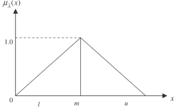 Fig. 1. The membership functions of the triangular fuzzy number.