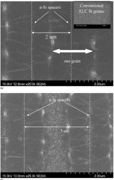 Figure 4. SEMs of excimer laser crystallized poly-Si film with amorphous