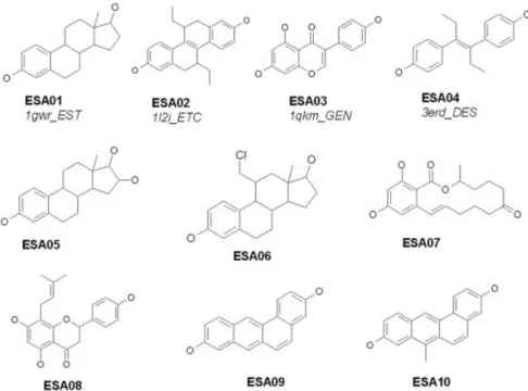 Fig. 3. Ten known ER agonists are docked against the ER-agonist complex (PDB code: 1gwr), and the pharmacological consensus is evolved