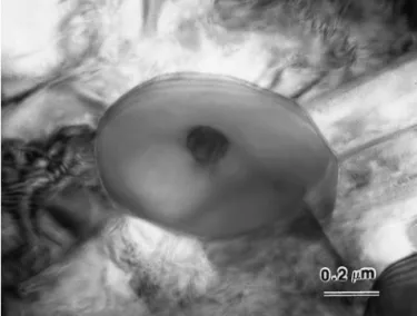 Fig. 7. Zircon grain with an embedded residual ZrO 2 particle in the