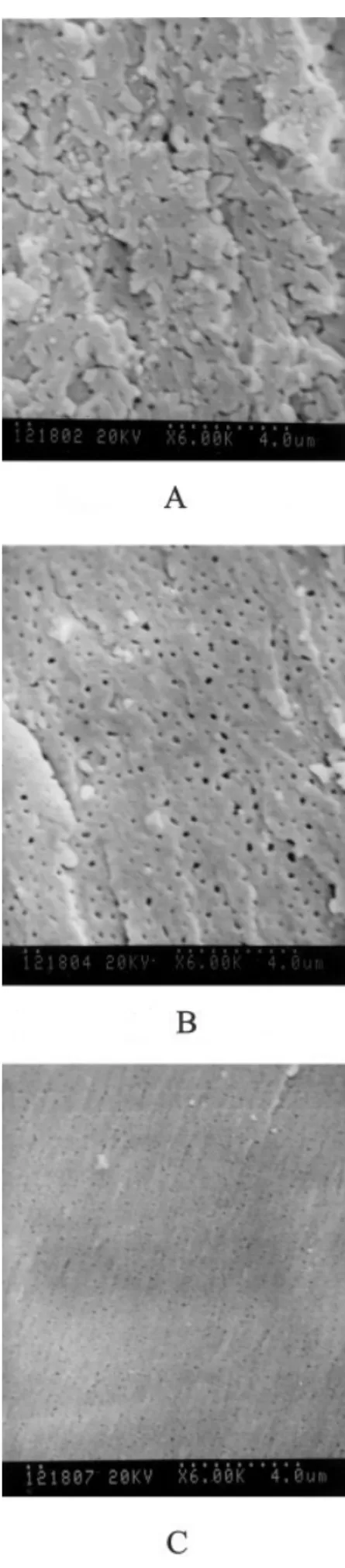 Figure 2 SEM micrographs taken on the fractured surfaces of the PCL15 blends cured at (a) 20°C, (b) 60°C, and (c) 80°C.