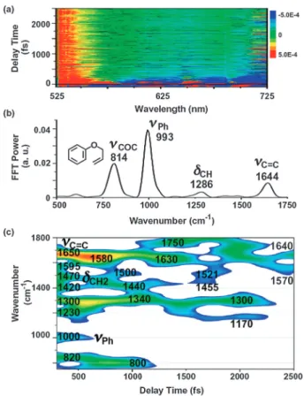 Fig. 4 Experimental results observed using visible pulses 4 . (a) A two-